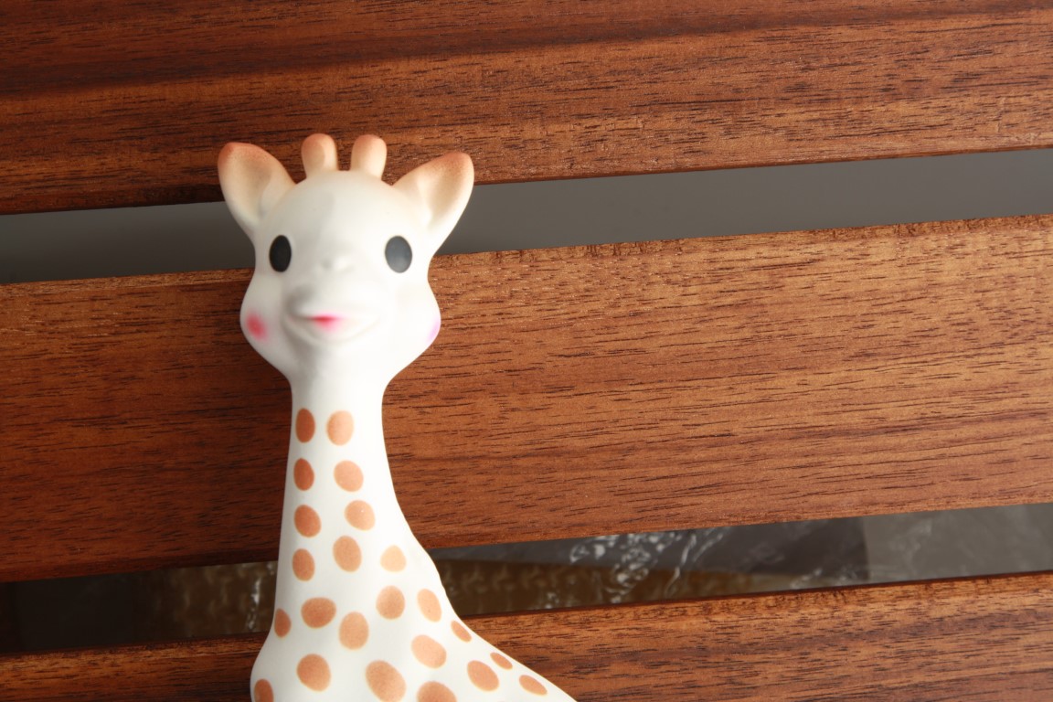 Sophie la Girafe : des moisissures découvertes par une dentiste pour  enfants - Top Santé